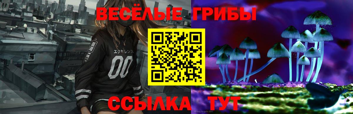Псилоцибиновые грибы прущие грибы  Вход с VPN  Воскресенск  Галлюциногенные грибы Psilocybine cubensis 